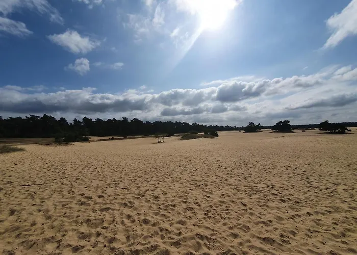 11, In Het Bos Апартаменты